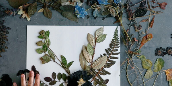 How to Make Pressed Flowers