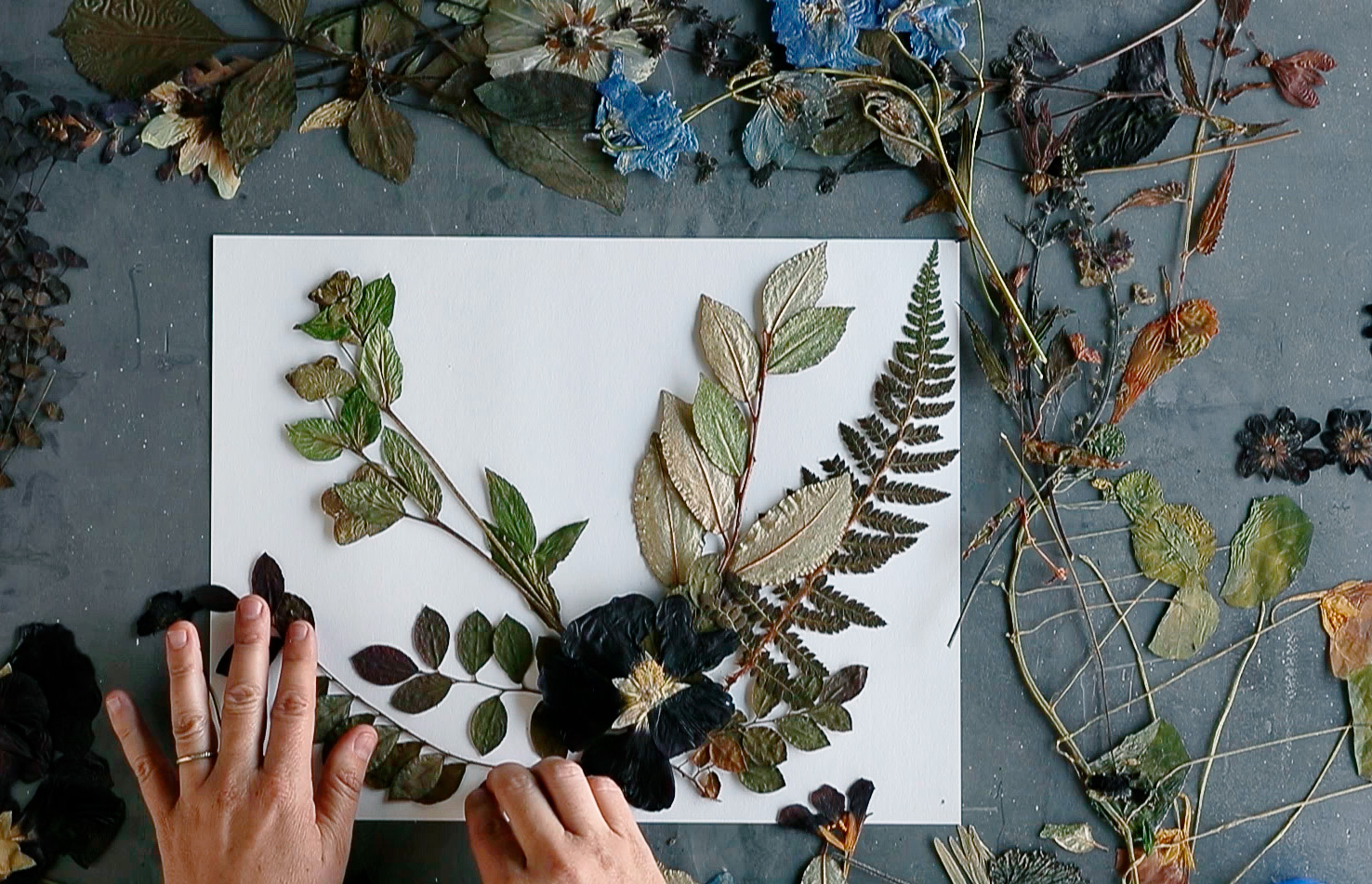 Pressed Flowers